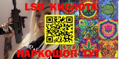 прущие грибы Краснокаменск