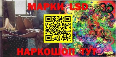 мяу мяу мука Краснознаменск