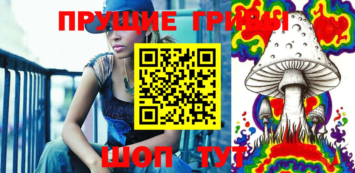Псилоцибиновые грибы прущие грибы Камень-на-Оби
